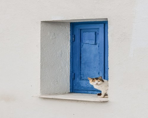 person resting without digital devices looking outside the window